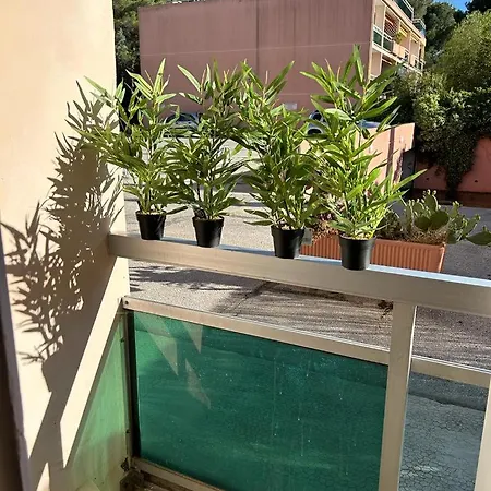 Studio Meuble Bord De Mer Bormes-les-Mimosas Buitenkant foto